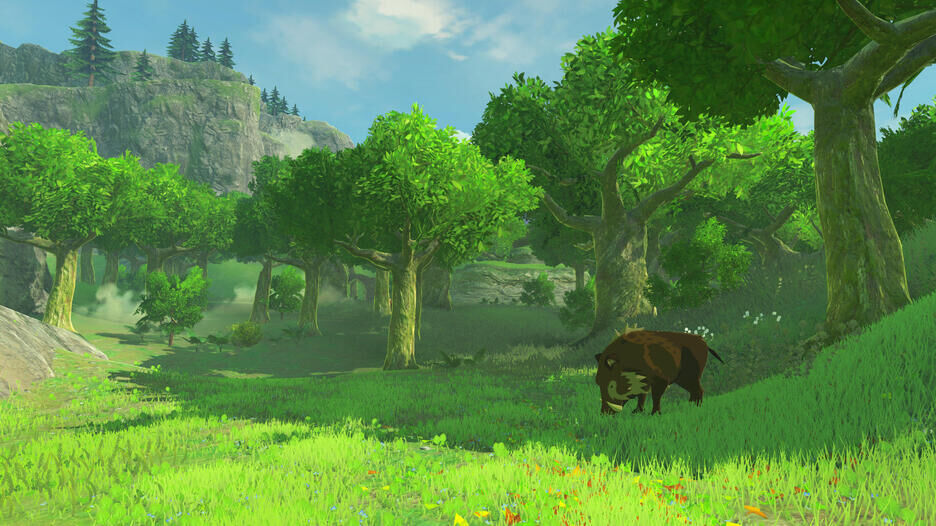 The Legend Of Zelda Breath Of The Wild Nintendo Switch