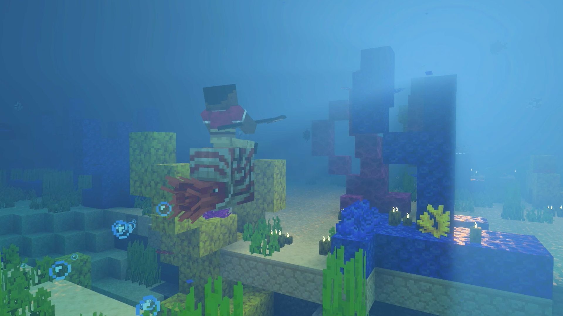 Minecraft (comprend Super Mariotm Pack Spécial Mash-up)